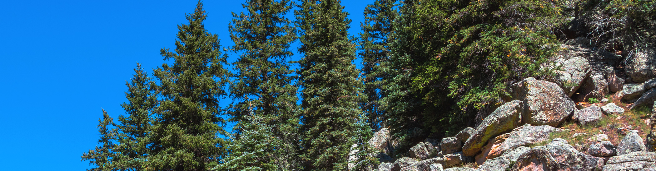 Search Results Jemez Valley CU